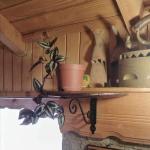 Етажерки-цветарници от дъбов масив(автентични бъчви) с ковано желязо!